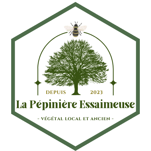 Logo La Pépinière Essaimeuse