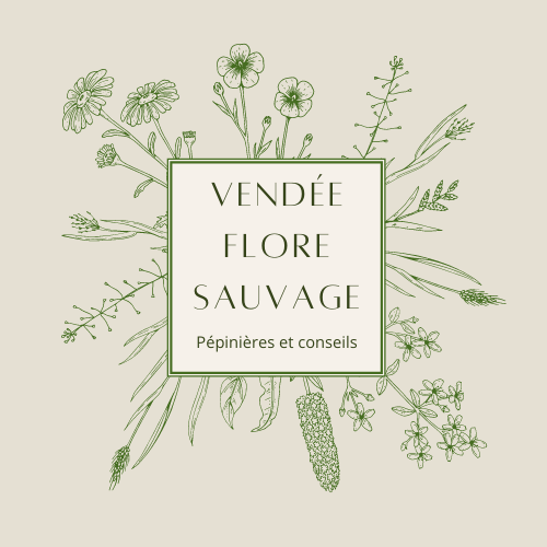 Vendée Flore Sauvage — Pépinières et conseils
